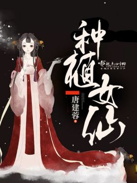 仙女盆栽