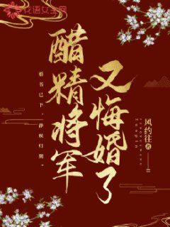 将军的醋坛子又翻了 小说