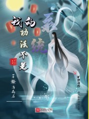 师父你够了小说