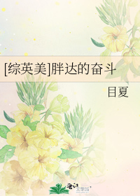 [综英美]胖达的奋斗