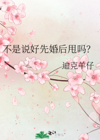 不是说好先婚后甩吗?by迪克羊仔