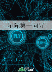 星际第一向导TⅹT百度网盘