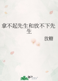 拿不起先生和放不下先生TXT