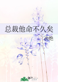 《总裁他命不久矣》作者:决绝