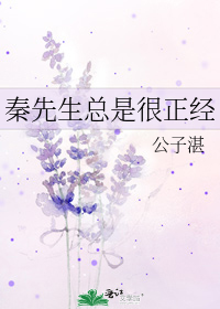 秦先生总是很正经攻是什么