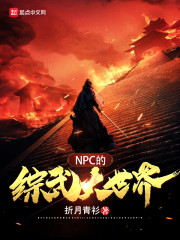 npc的综武大世界嘉