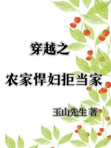 穿越农家彪悍媳全文免费阅读