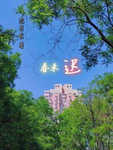 春未迟什么意思