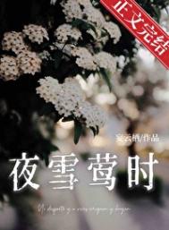 夜雪莺时先婚后爱作者妄云栖