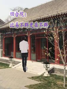 四合院：比易不群更岳不群