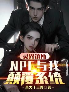 灵界镇所：npc与我颠覆系统！