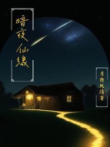 暗夜仙缘