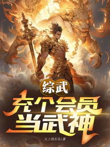 综武充个会员当武神