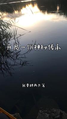 开局一份神秘传承