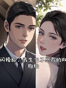 闪婚后，我生下了总裁的双胞胎