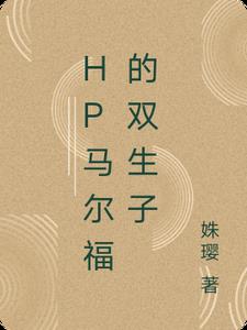 HP马尔福的双生子