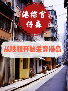 港综官仔森：从胜和杀穿全港岛