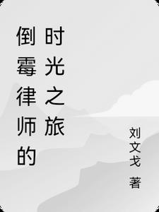 倒霉律师的时光之旅