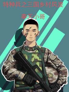 特种兵在乡村 小说