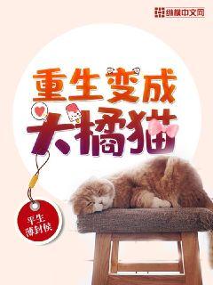 重生变成猫小说