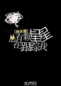 总有颗星星在跟踪我什么意思