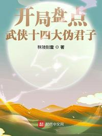 大陆伪武侠小说