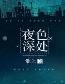 夜色深处补车淮上