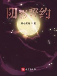 阴影誓约无错版